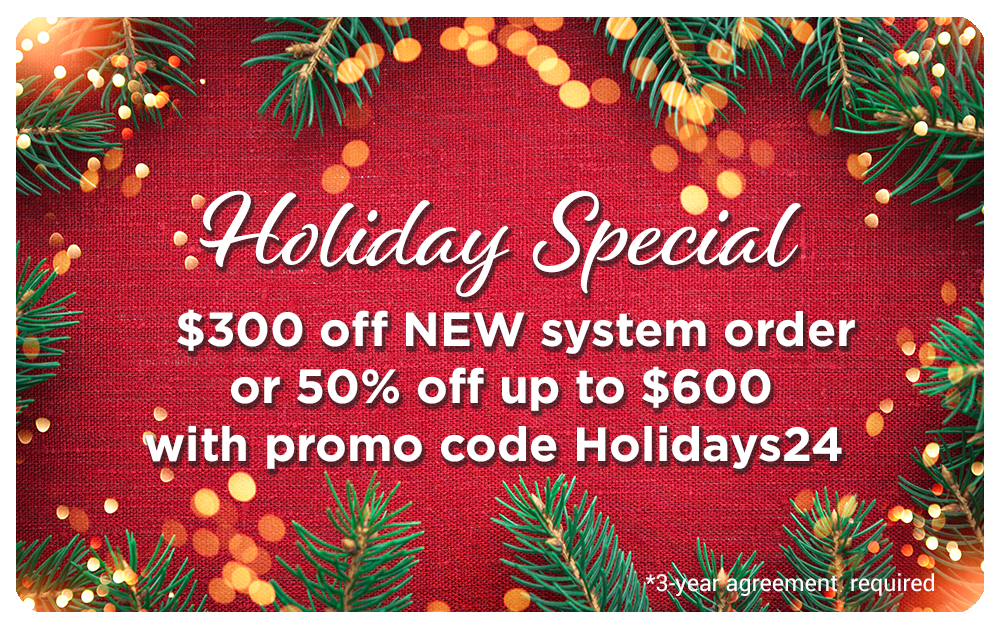 holiday promo sale